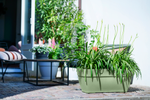 vibia campana terrace trough 80cm pistachio green